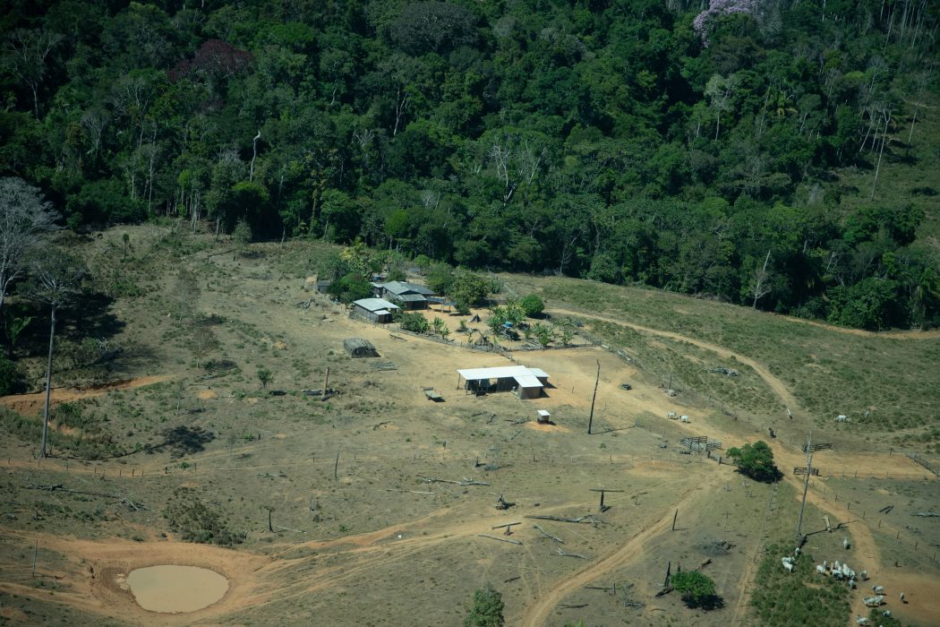 Invasão possessória na TI Piripkura, onde vivem indígenas em isolamento voluntário, registrada em julho de 2021. Foto: Christian Braga/Greenpeace